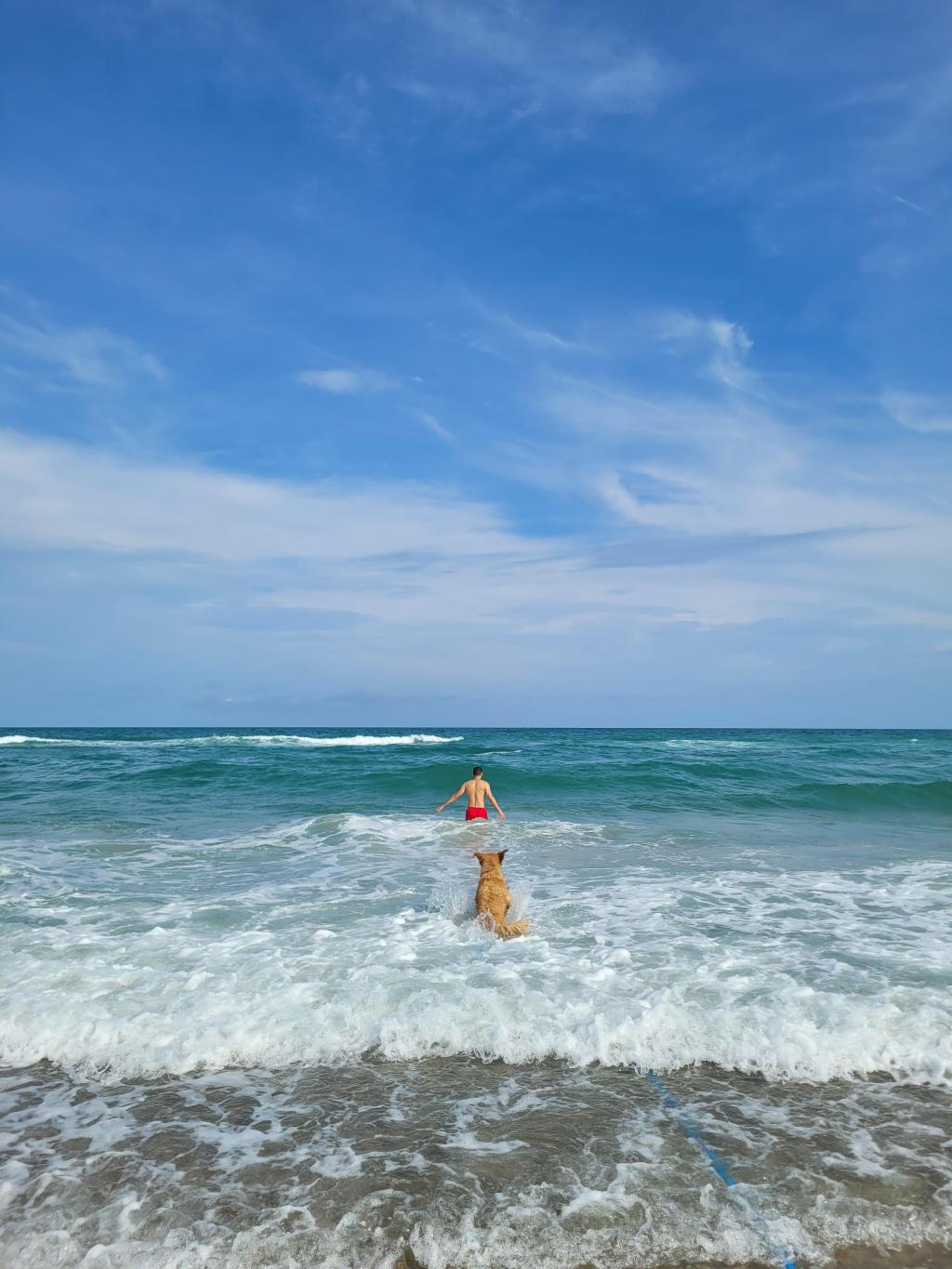 Exploring North Carolina