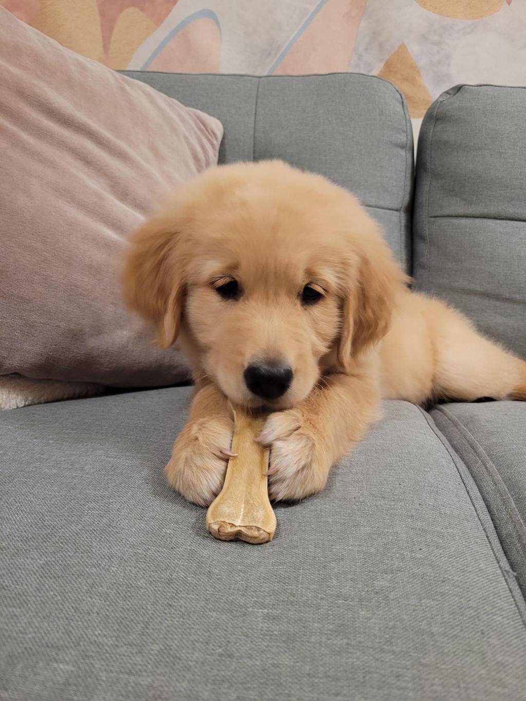 The story behind Ghost’s&nbsp;name