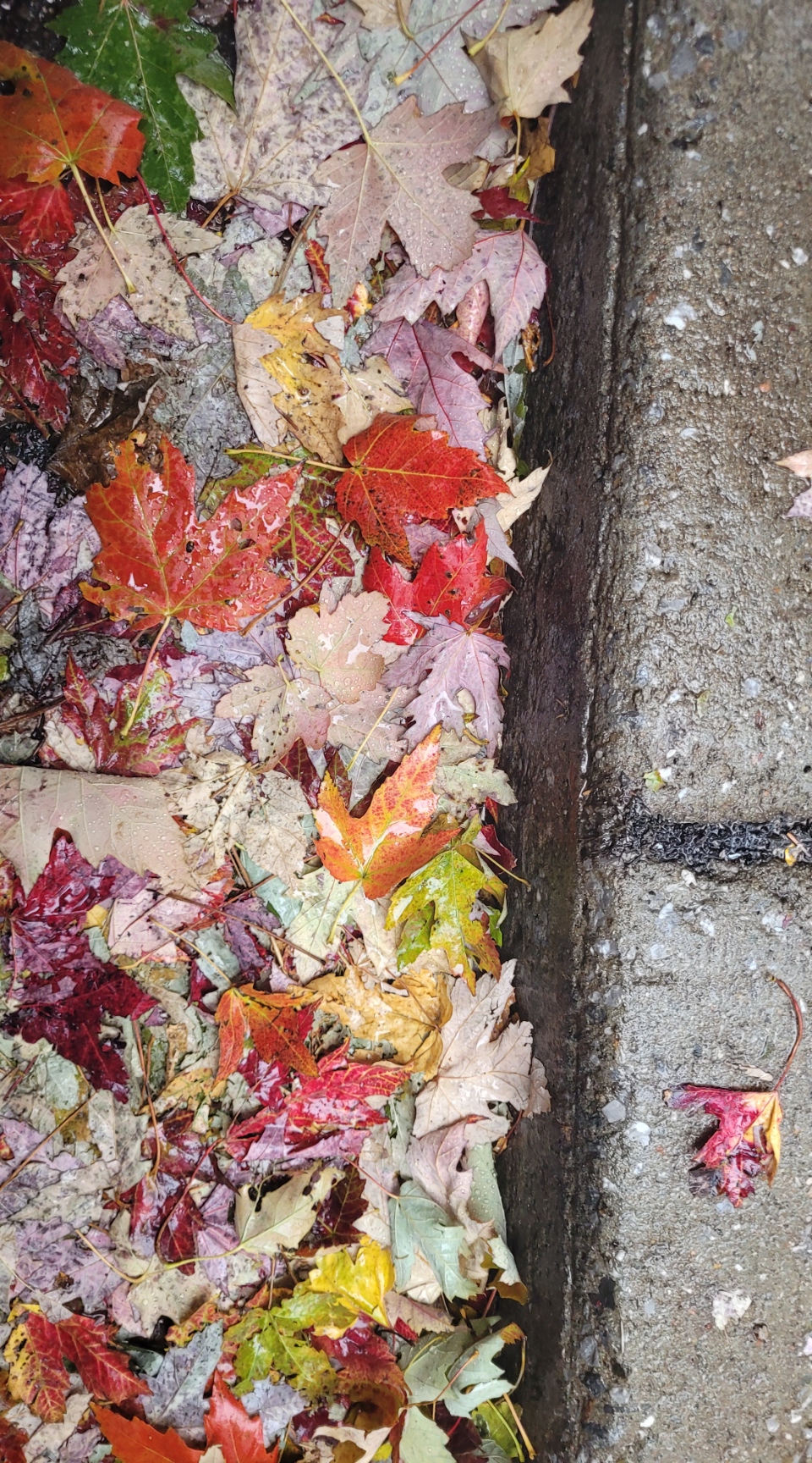 Maybe bad days aren’t that bad after all