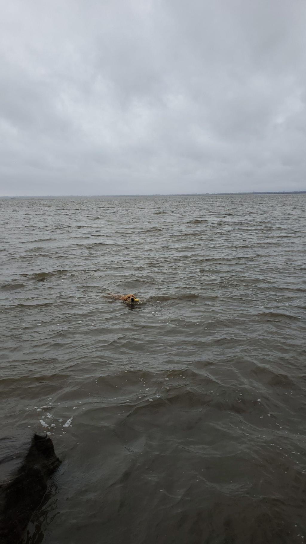 Beating weather blues