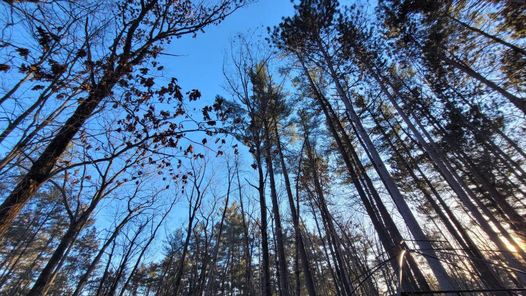 Finding the person behind the&nbsp;patient