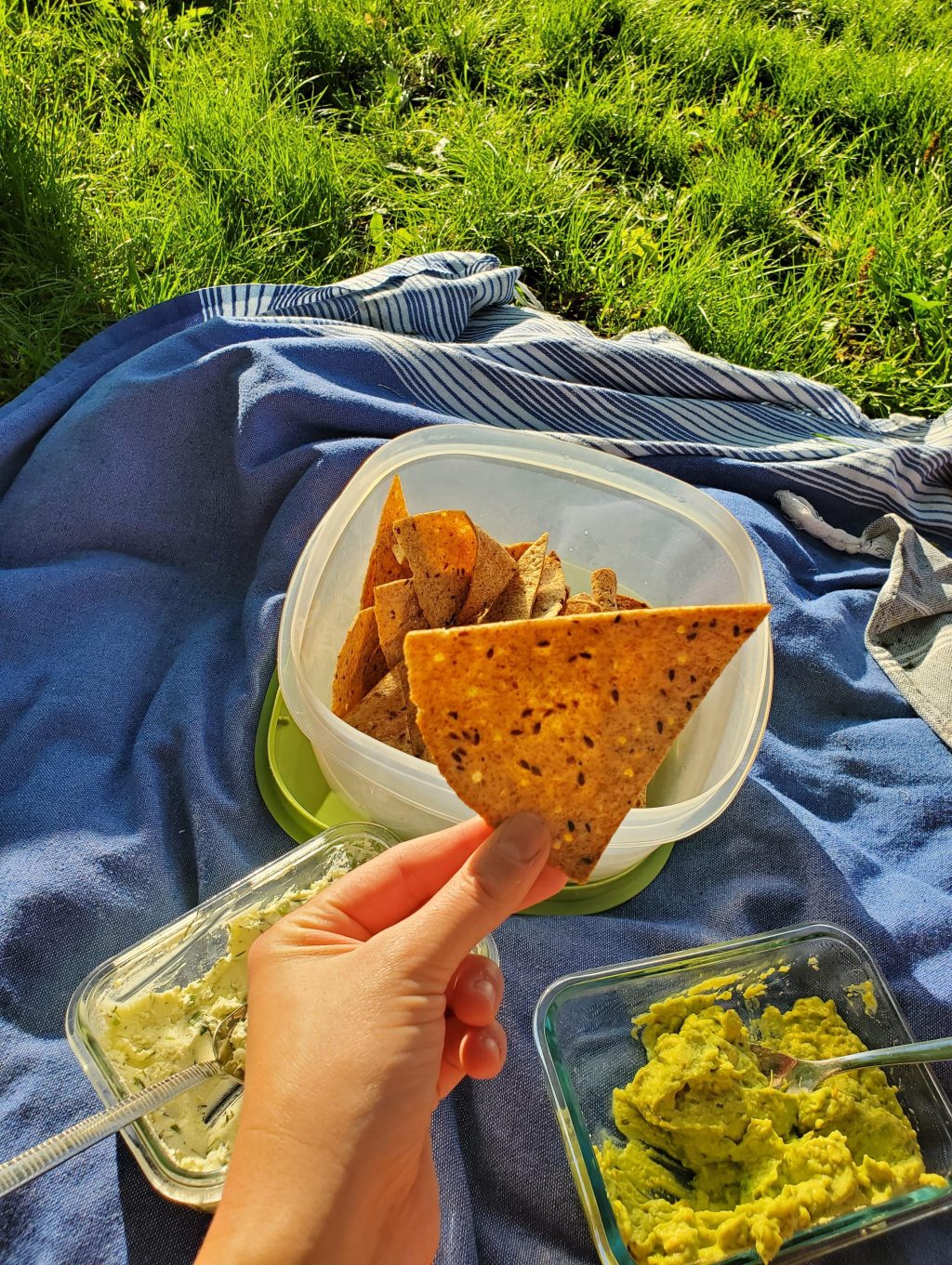 Homemade tortilla chips