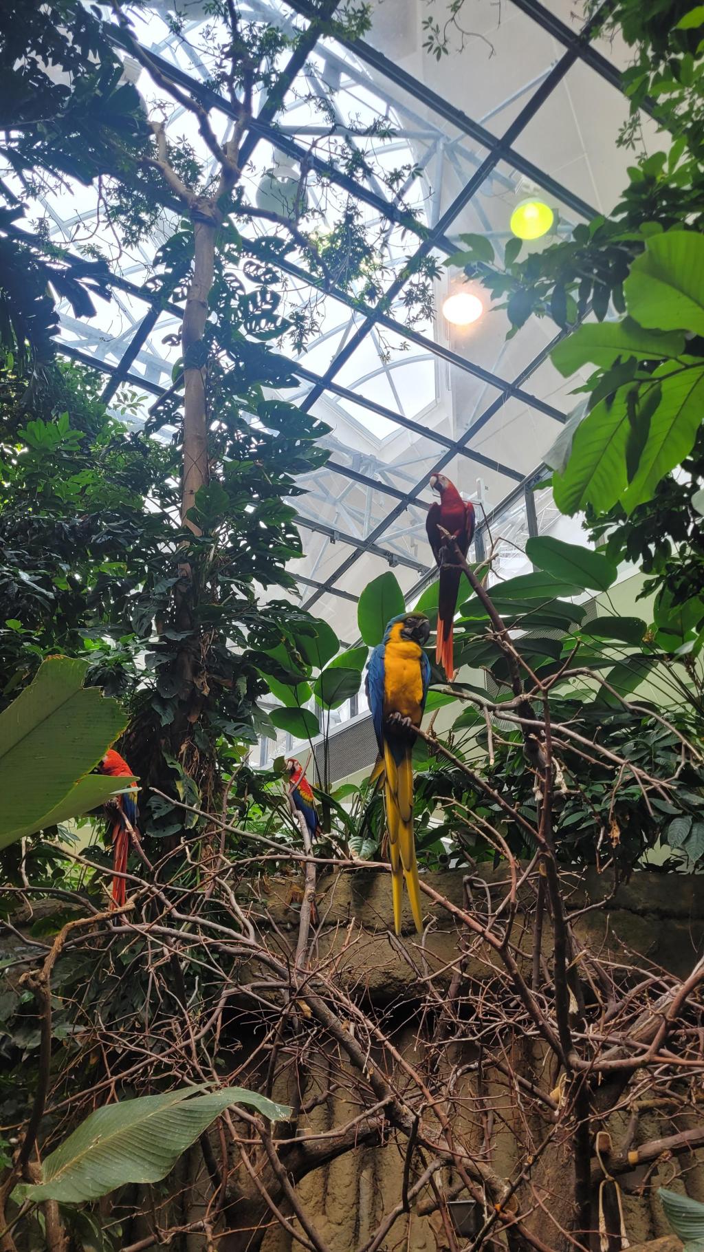 Finding common ground