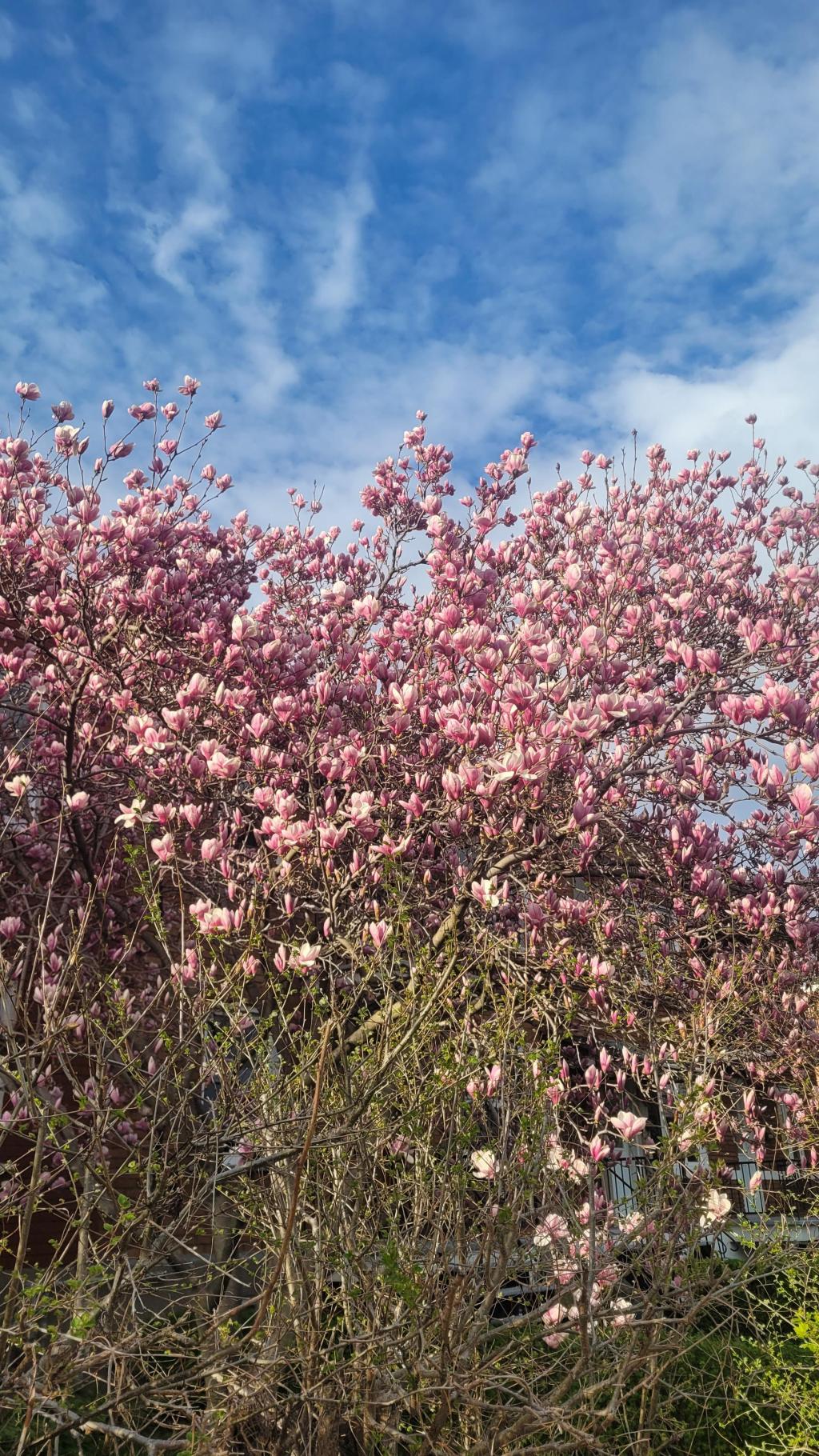 Finding joy in everyday tasks