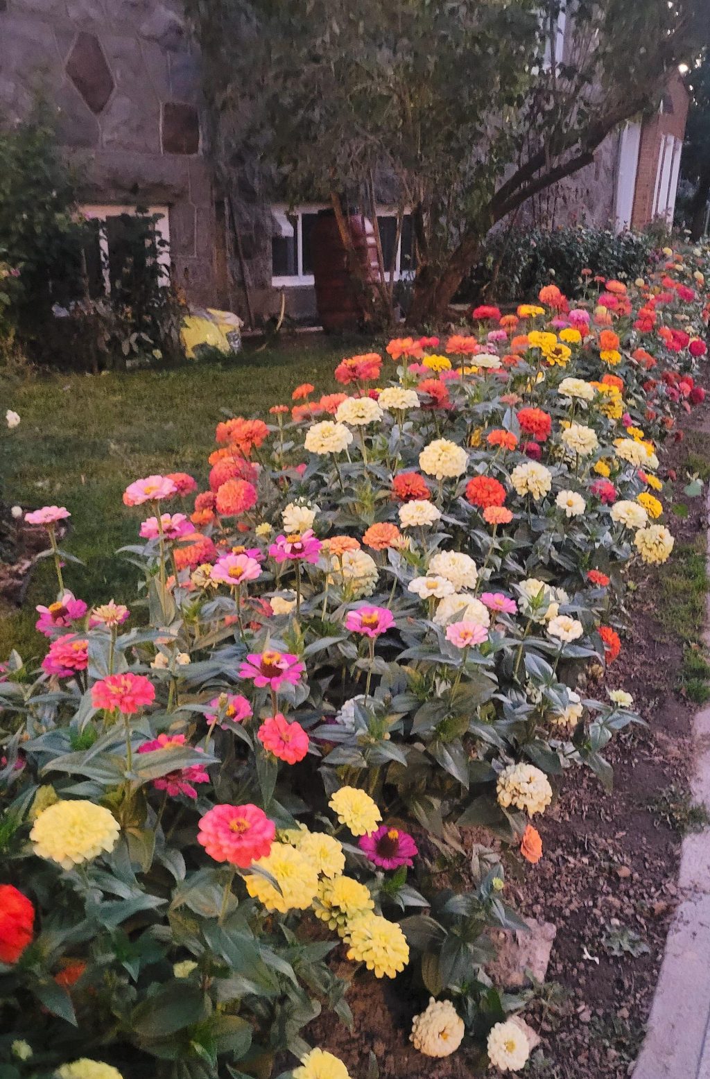 It’s okay to be bored